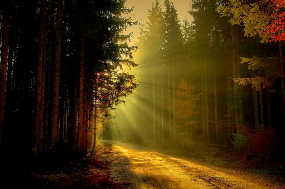 Gallery 2222292 image 1