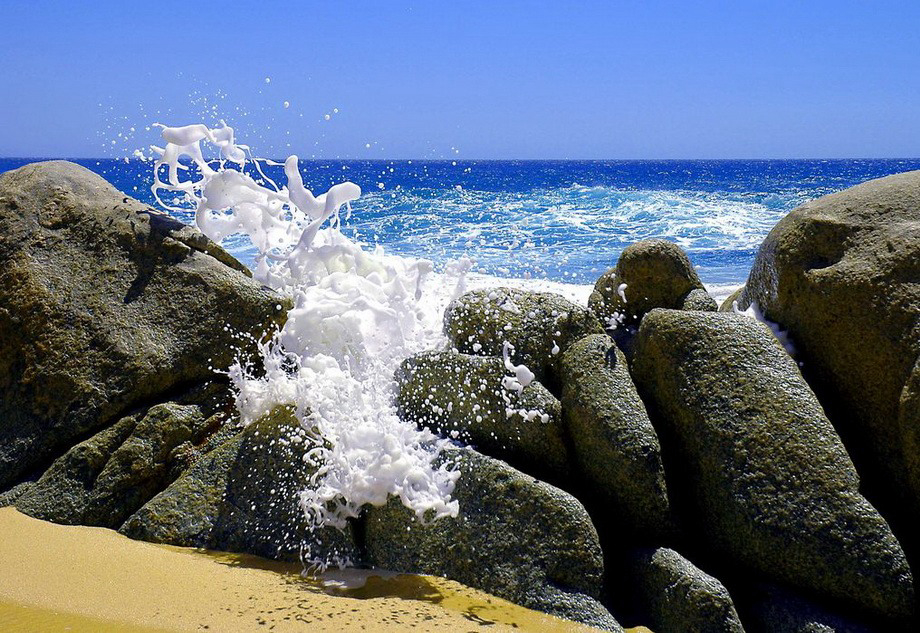 Gallery 2222257 image 1