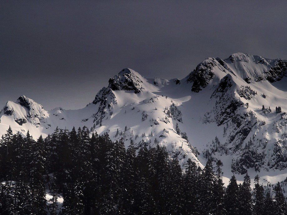 Gallery 2222327 image 1