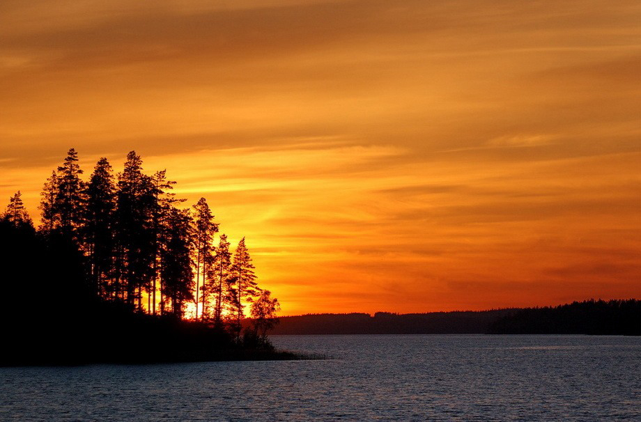 Gallery 2222355 image 1