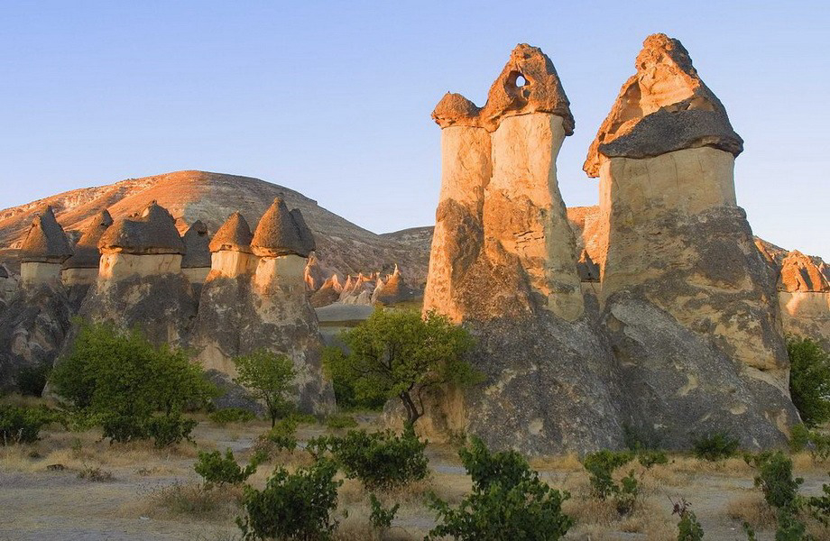 Gallery 2222432 image 1