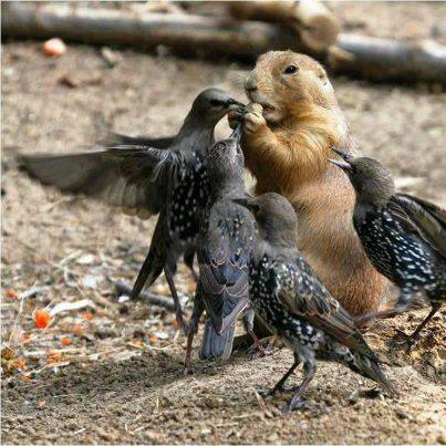 Gallery 2222516 image 1