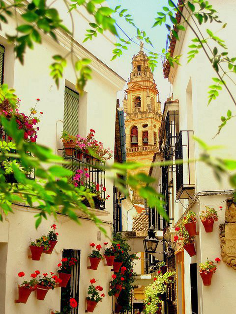 Gallery 2222523 image 1