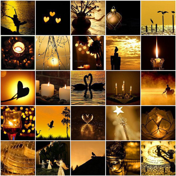 Gallery 2222775 image 1