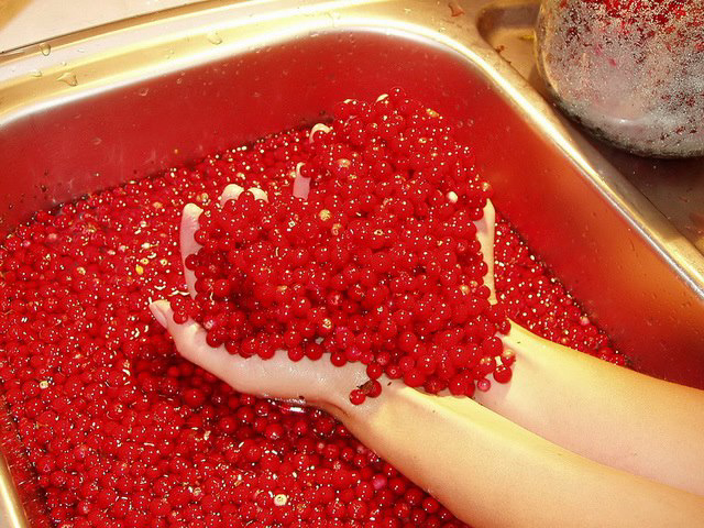 Gallery 2222922 image 1