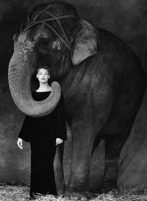 Gallery 2222943 image 1