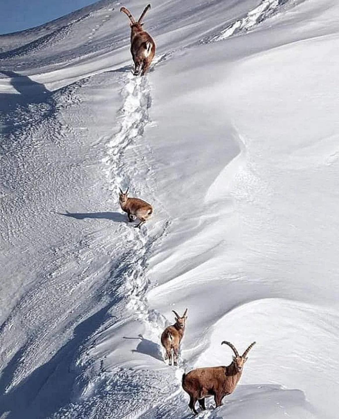 Gallery 2223090 image 1