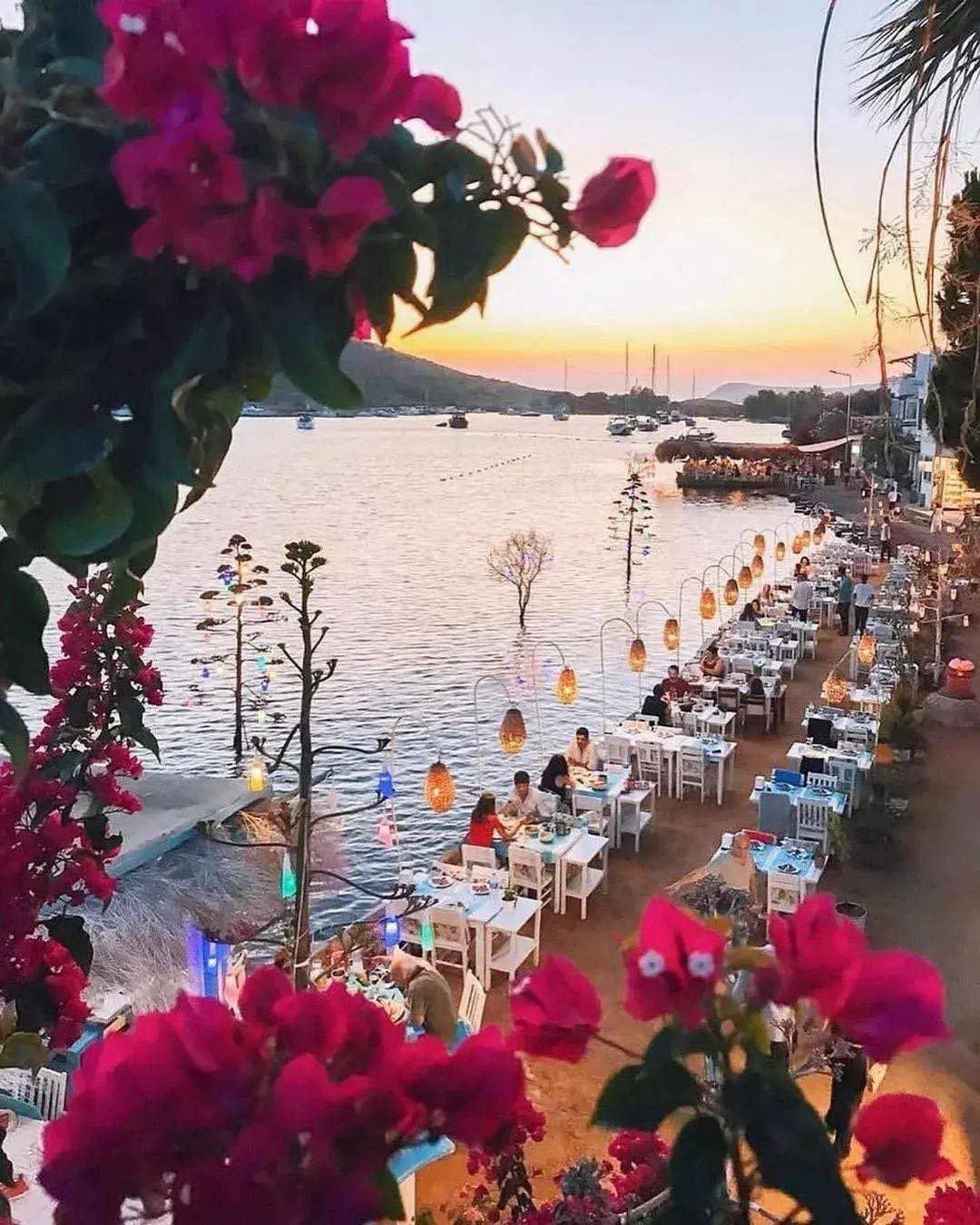 Gallery 2223237 image 1