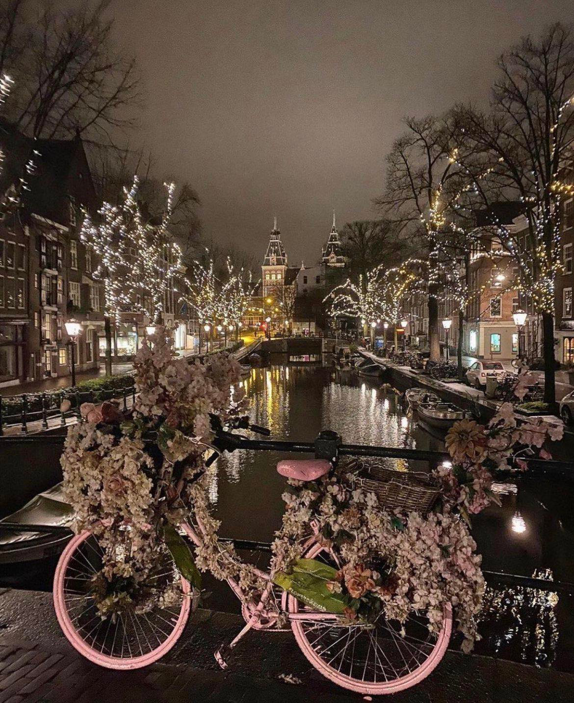 Gallery 2223258 image 1