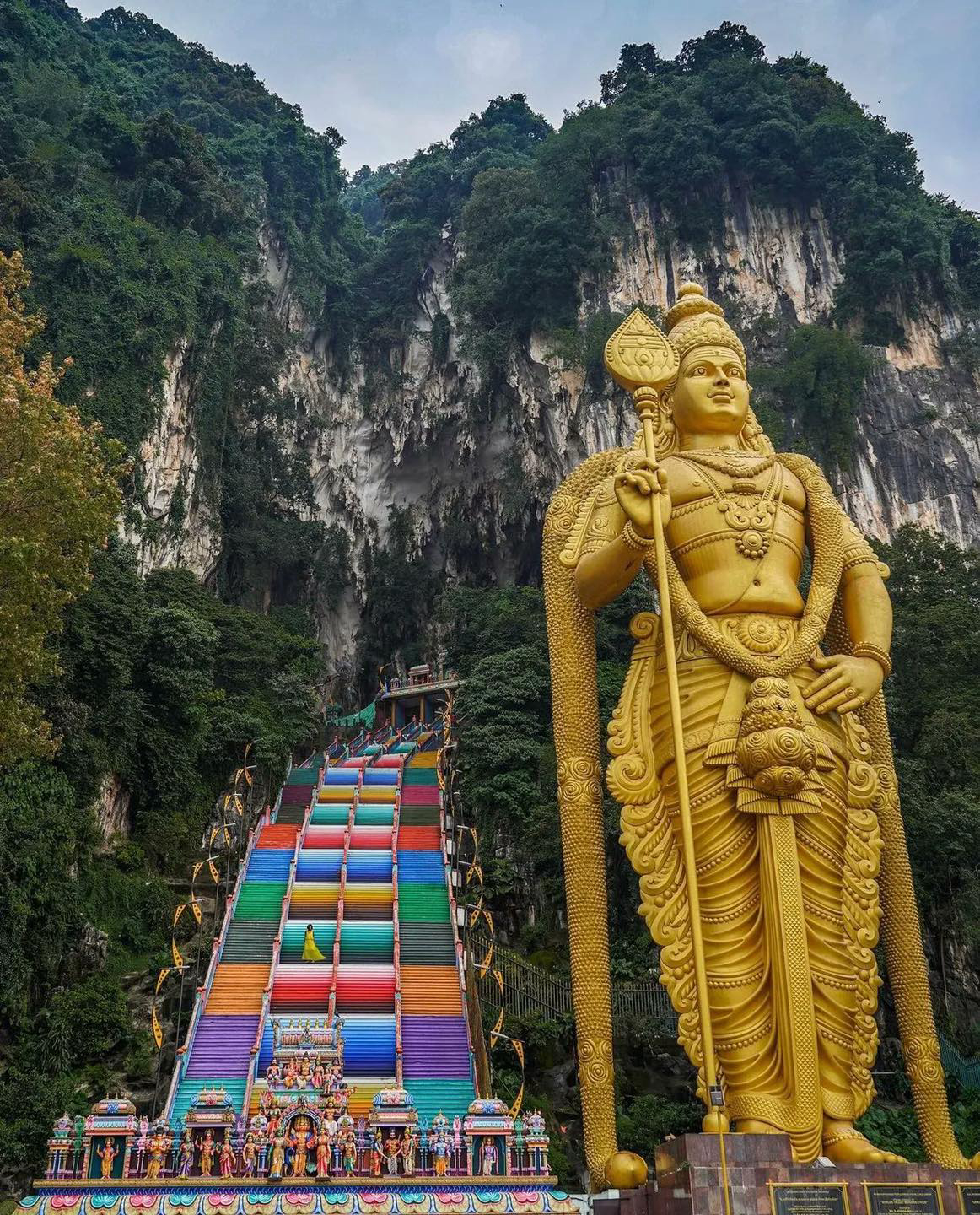 Gallery 2223293 image 1