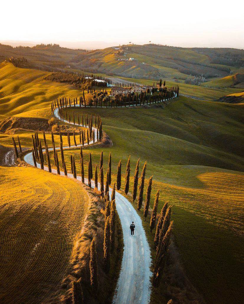 Gallery 2223447 image 1