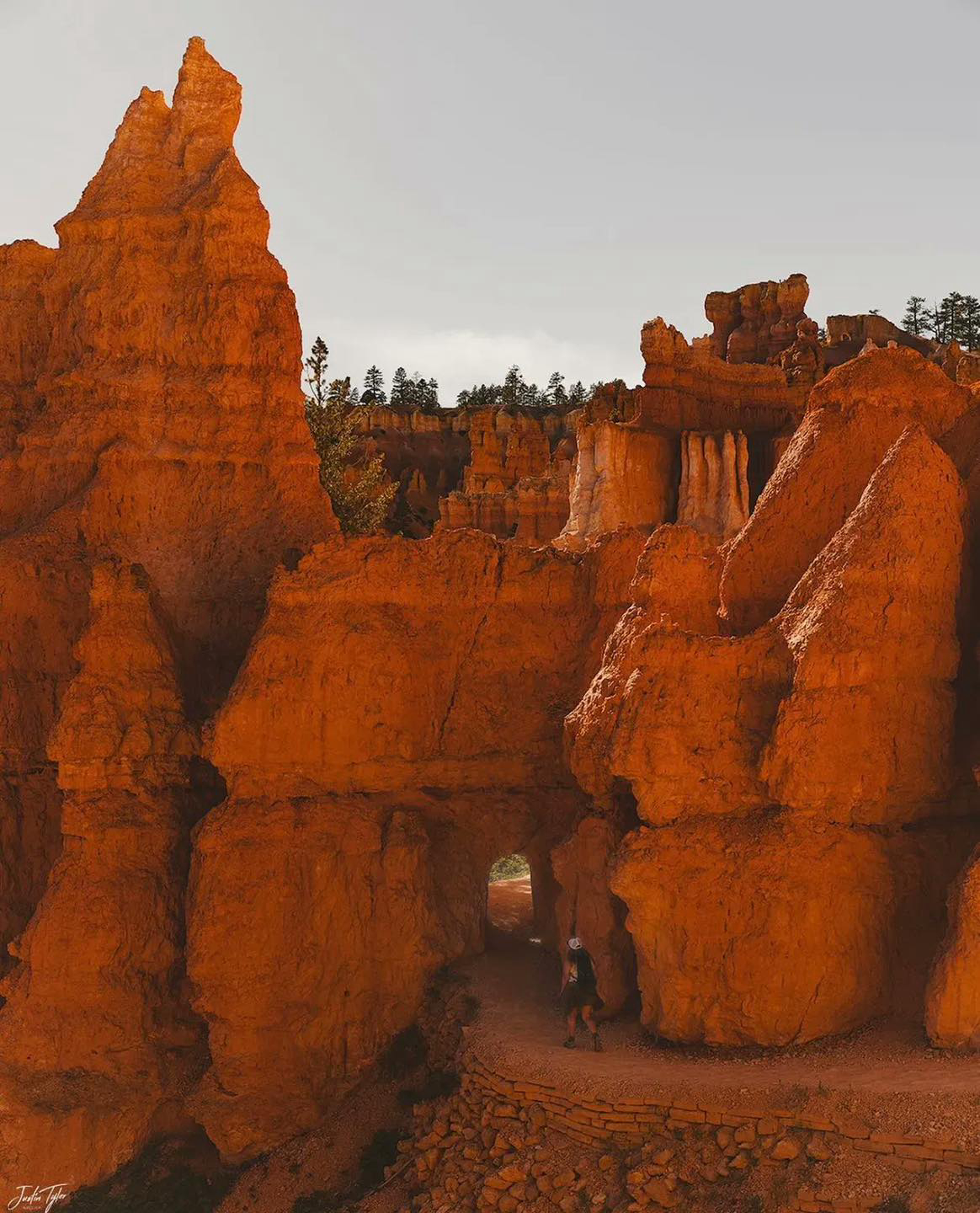 Gallery 2223636 image 1