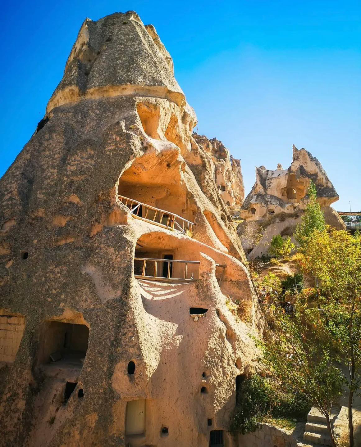 Gallery 2223671 image 1