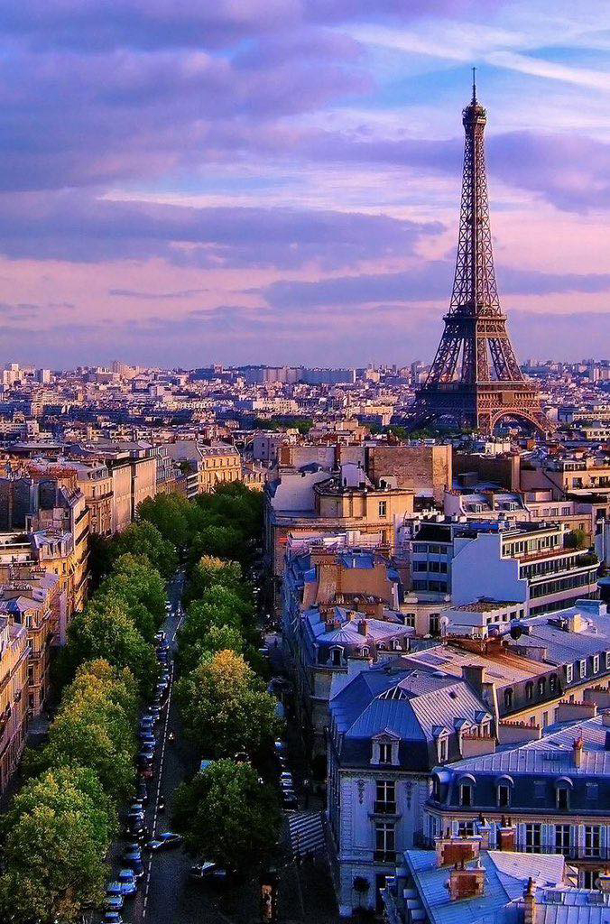 Gallery 2223692 image 1