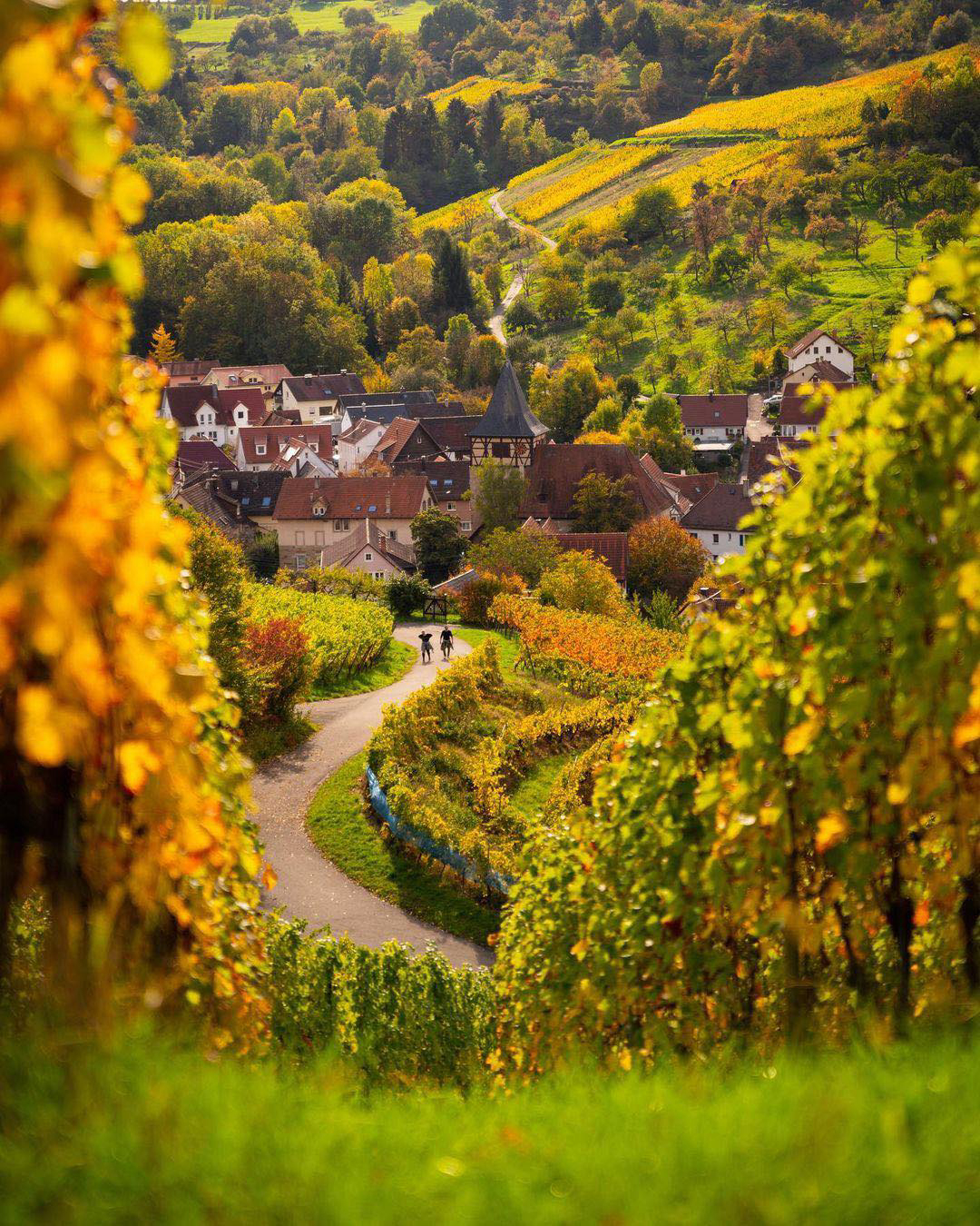 Gallery 2223720 image 1