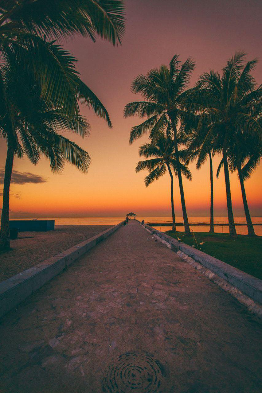 Gallery 2223755 image 1