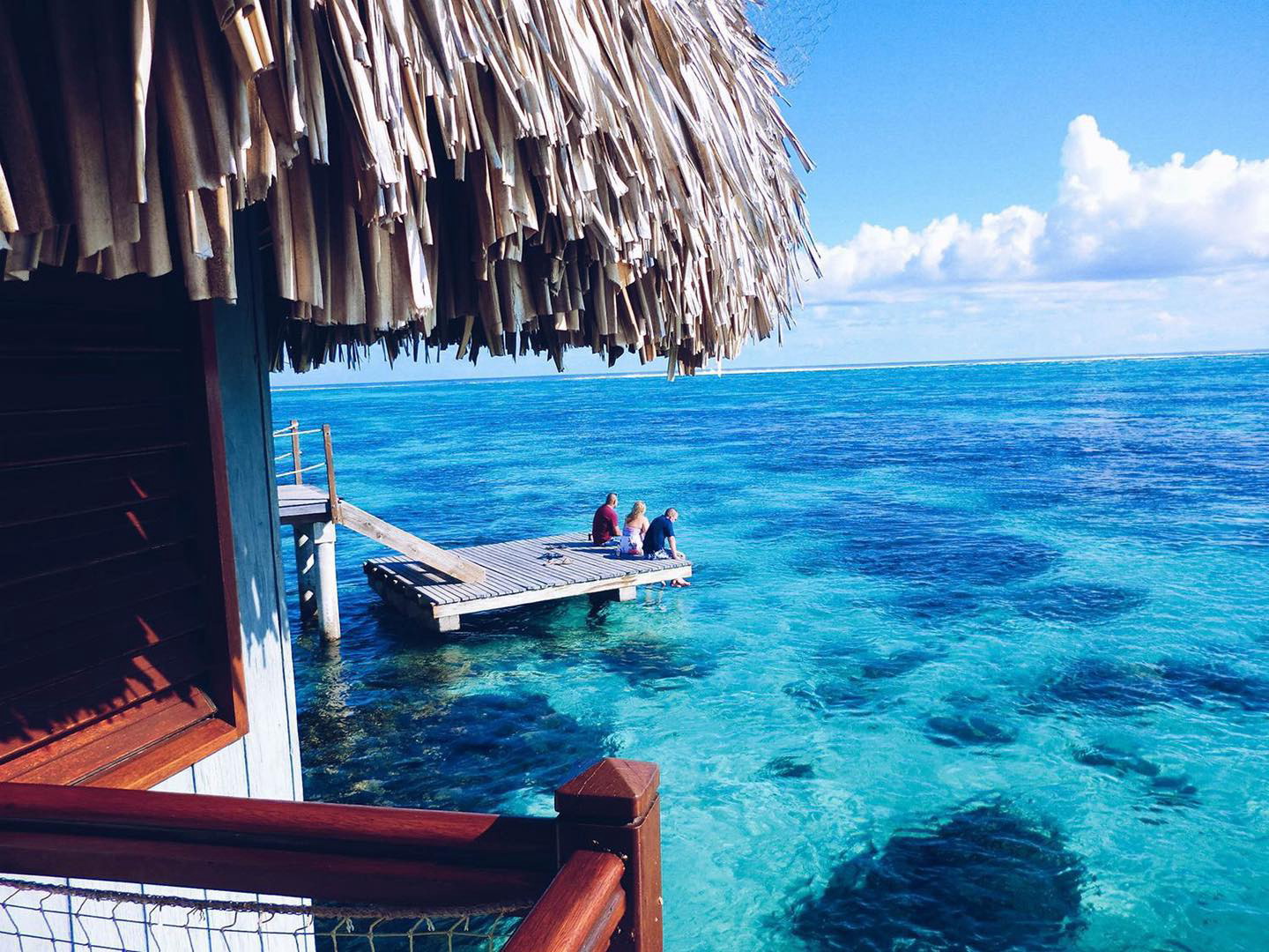 Gallery 2223762 image 1