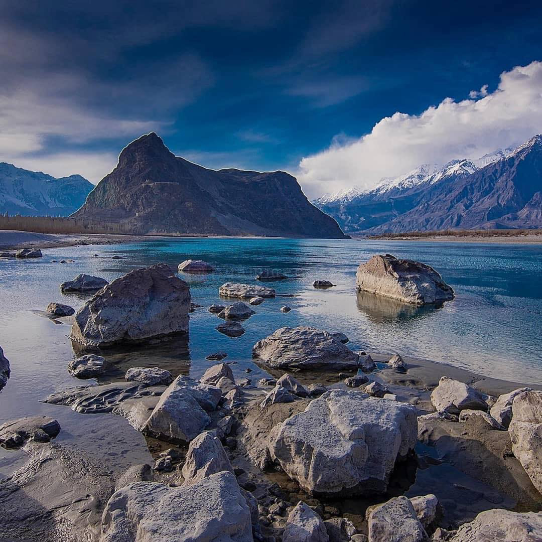 Gallery 2223790 image 1