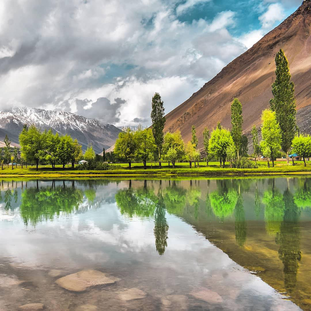 Gallery 2223797 image 1