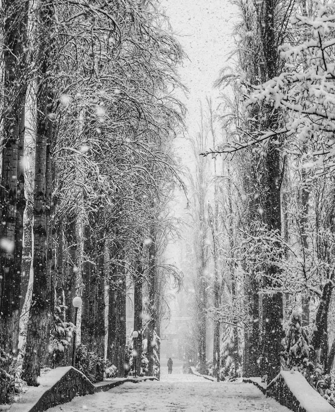 Gallery 2223860 image 1