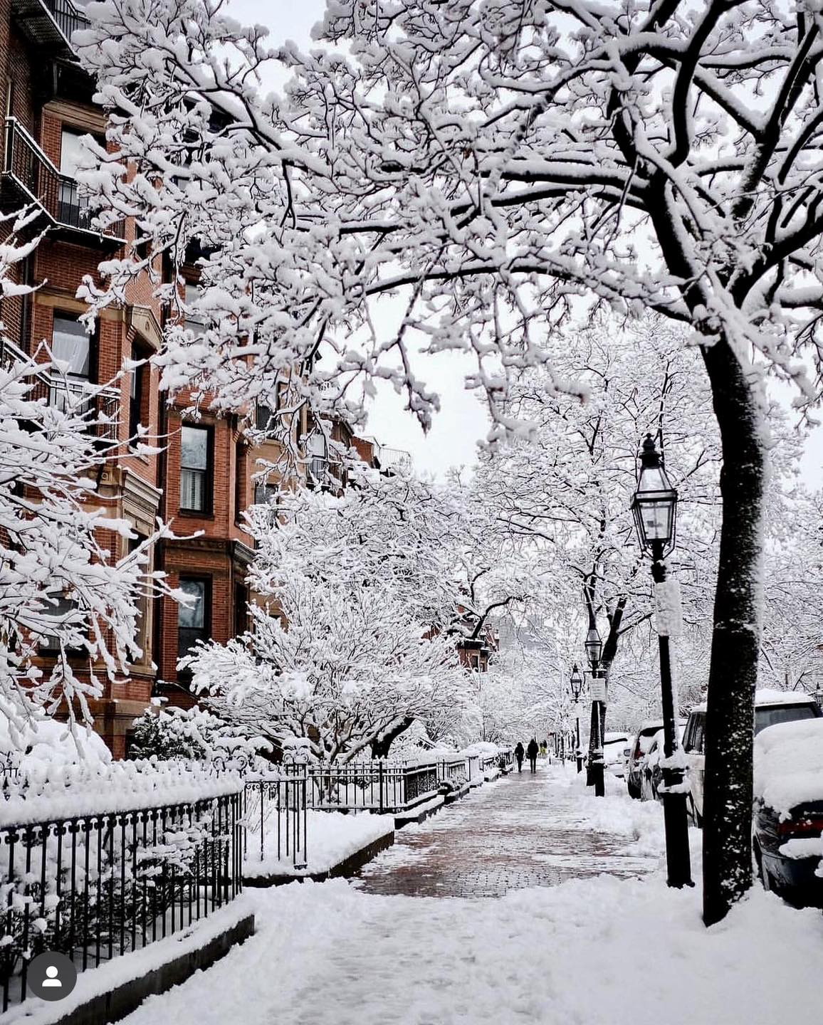 Gallery 2224007 image 1