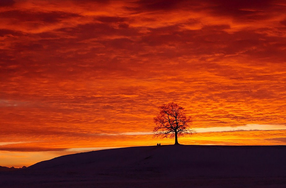 Gallery 2222250 image 1