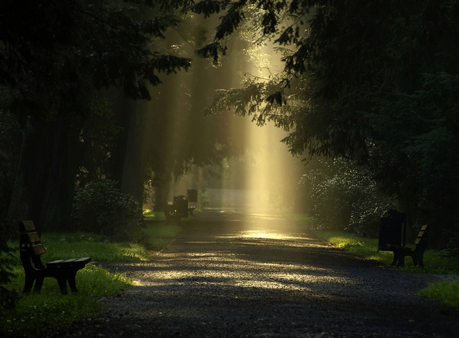 Gallery 2222306 image 1