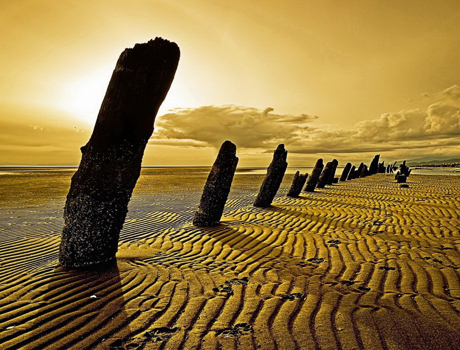 Gallery 2222334 image 1