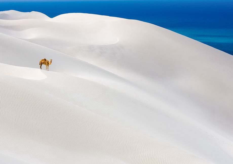 Gallery 2222425 image 1