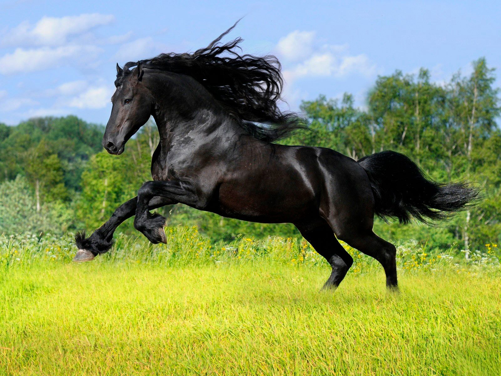 Gallery 2222628 image 1