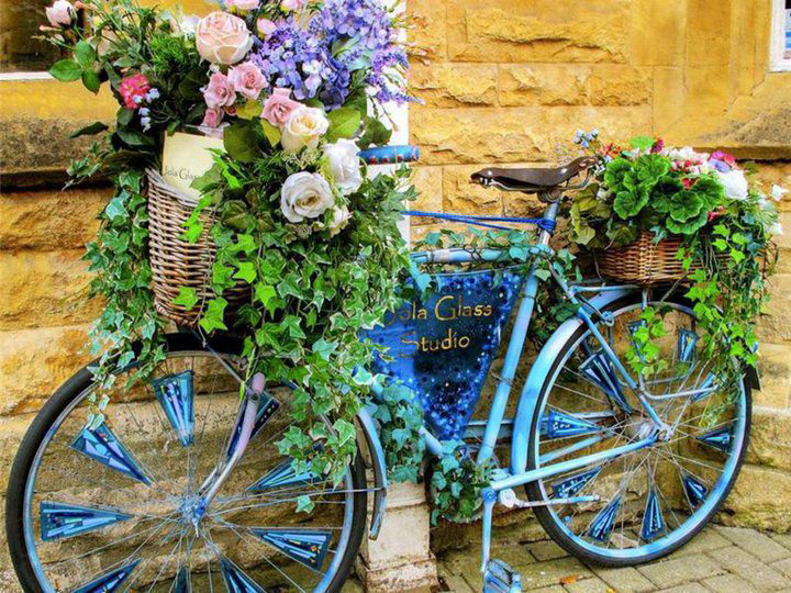 Gallery 2222677 image 1