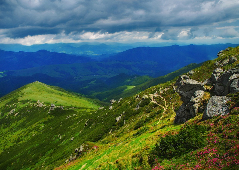 Gallery 2222712 image 1