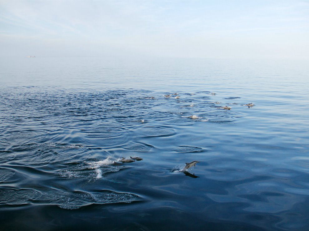 Gallery 2222747 image 1