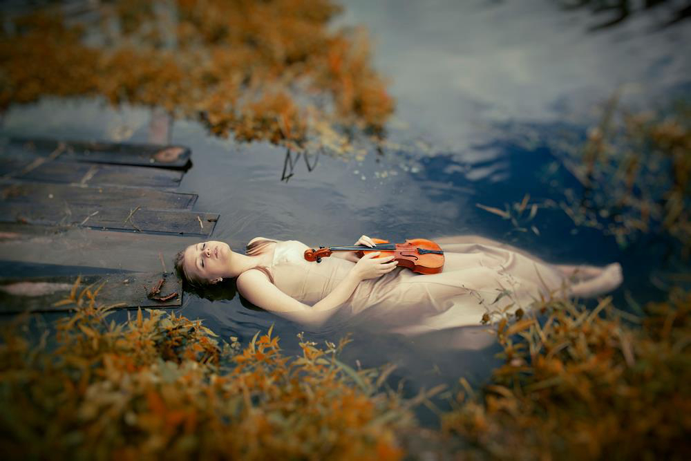 Gallery 2222761 image 1