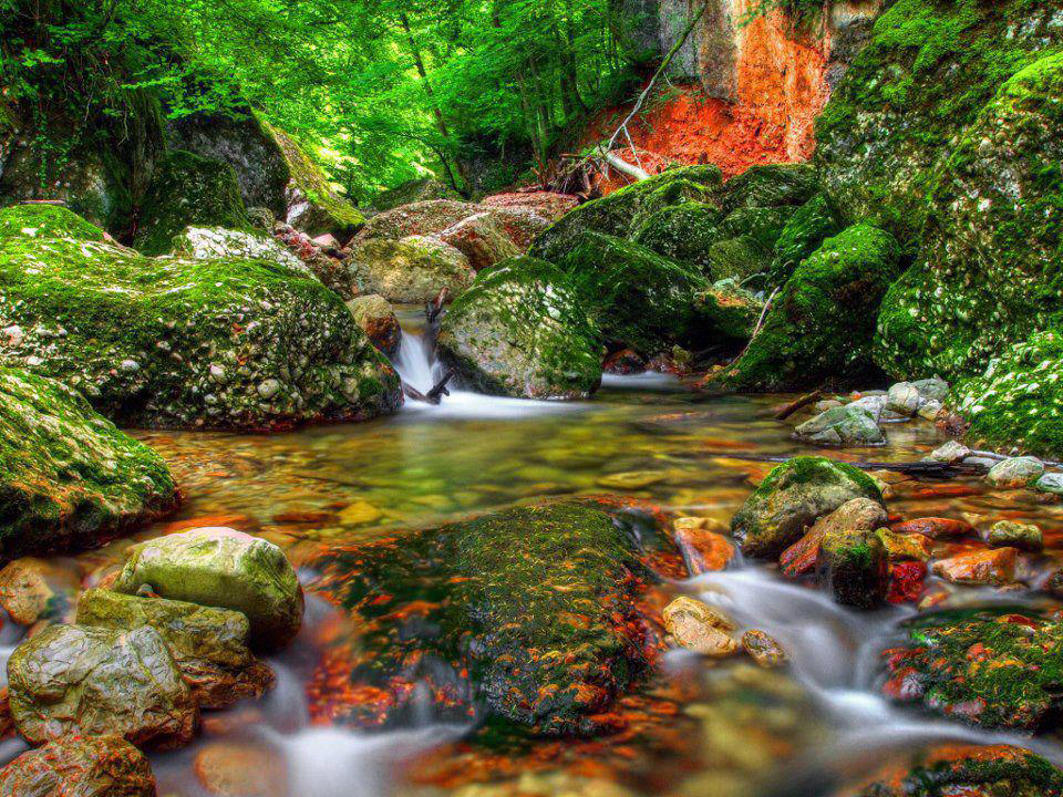 Gallery 2222789 image 1