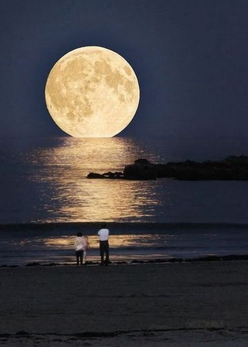 Gallery 2222824 image 1