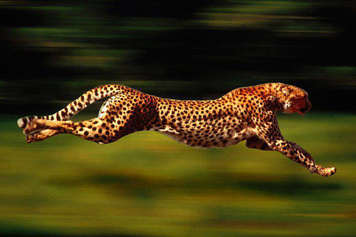 Gallery 2222894 image 1