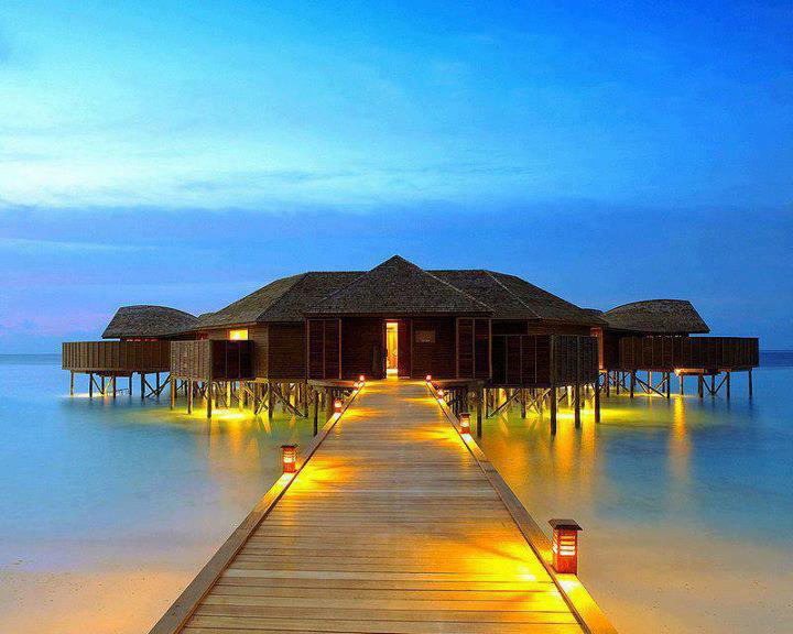 Gallery 2222901 image 1