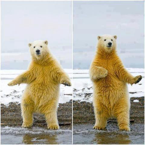 Gallery 2223013 image 1