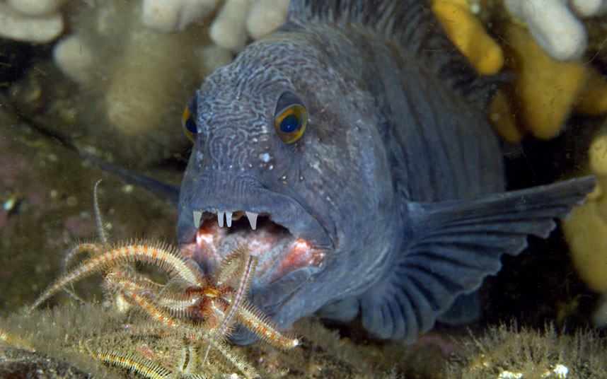 Gallery 2223020 image 1