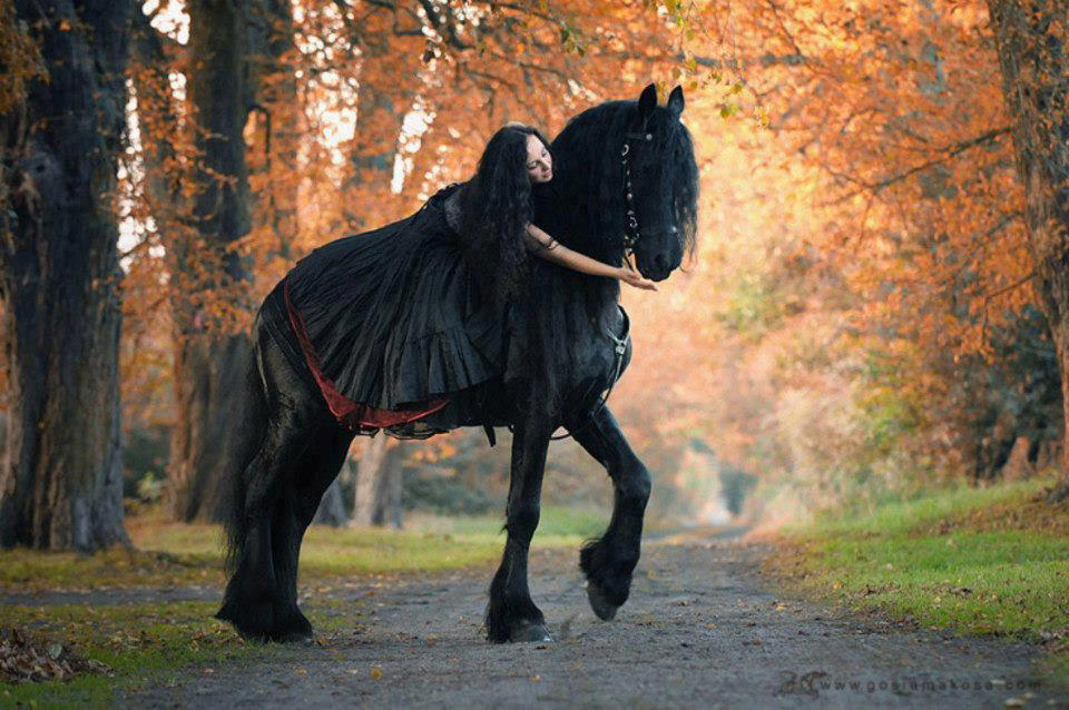 Gallery 2223055 image 1