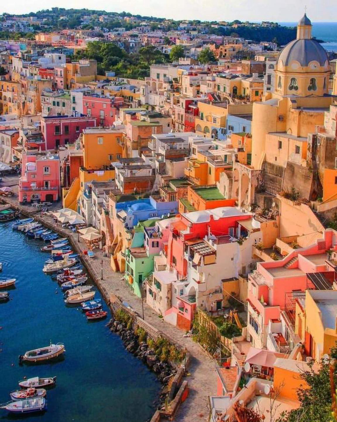 Gallery 2223251 image 1