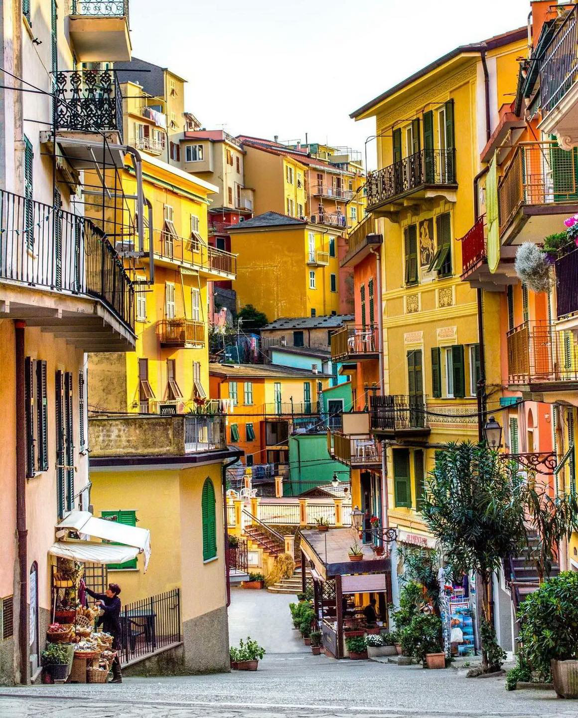 Gallery 2223349 image 1