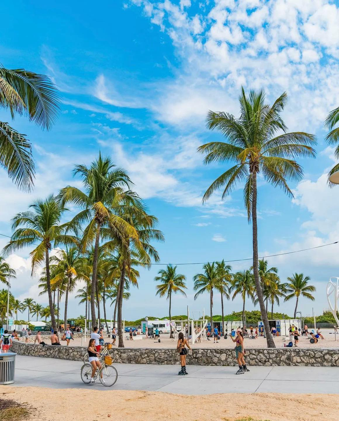 Gallery 2223391 image 1