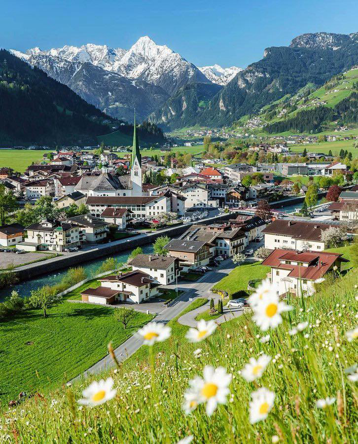 Gallery 2223538 image 1