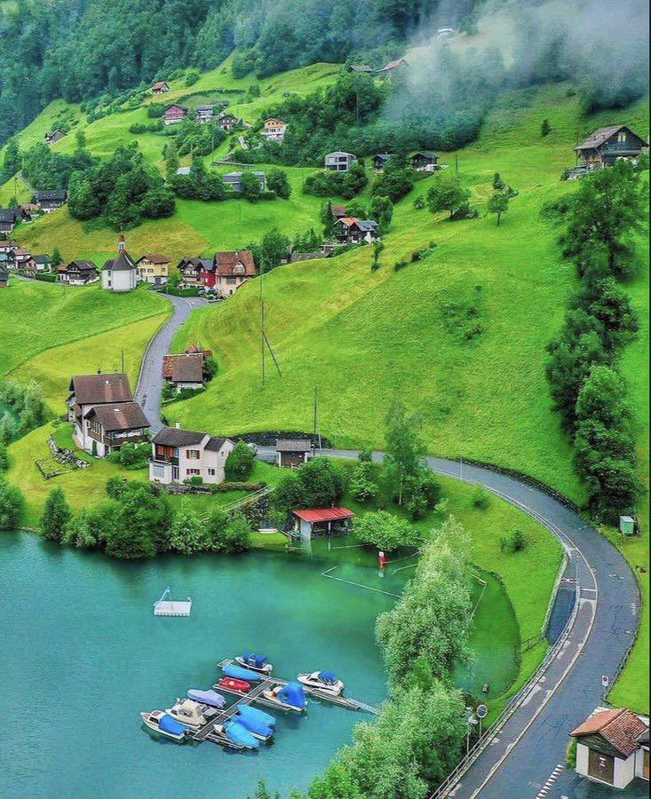 Gallery 2223545 image 1