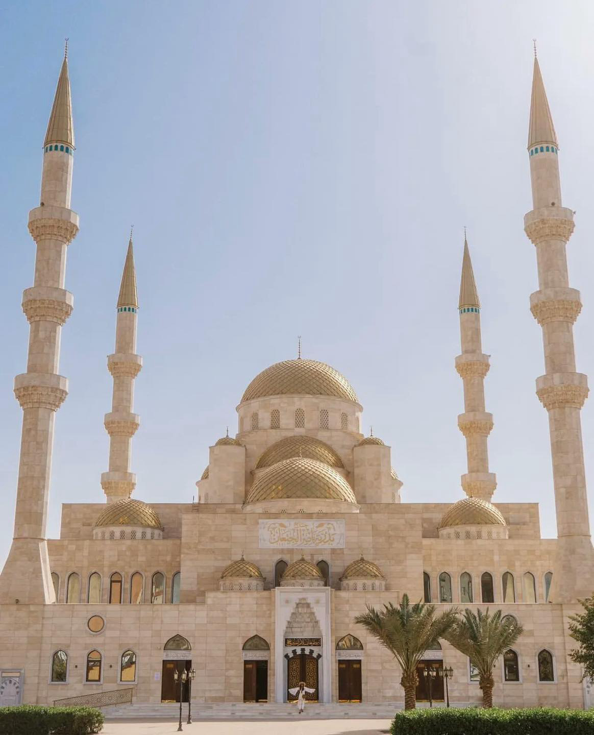 Gallery 2223601 image 1