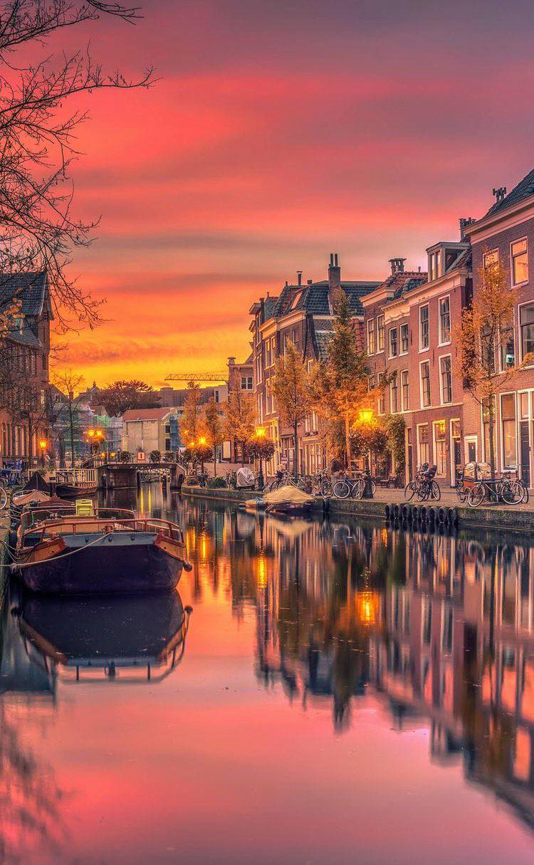 Gallery 2223615 image 1