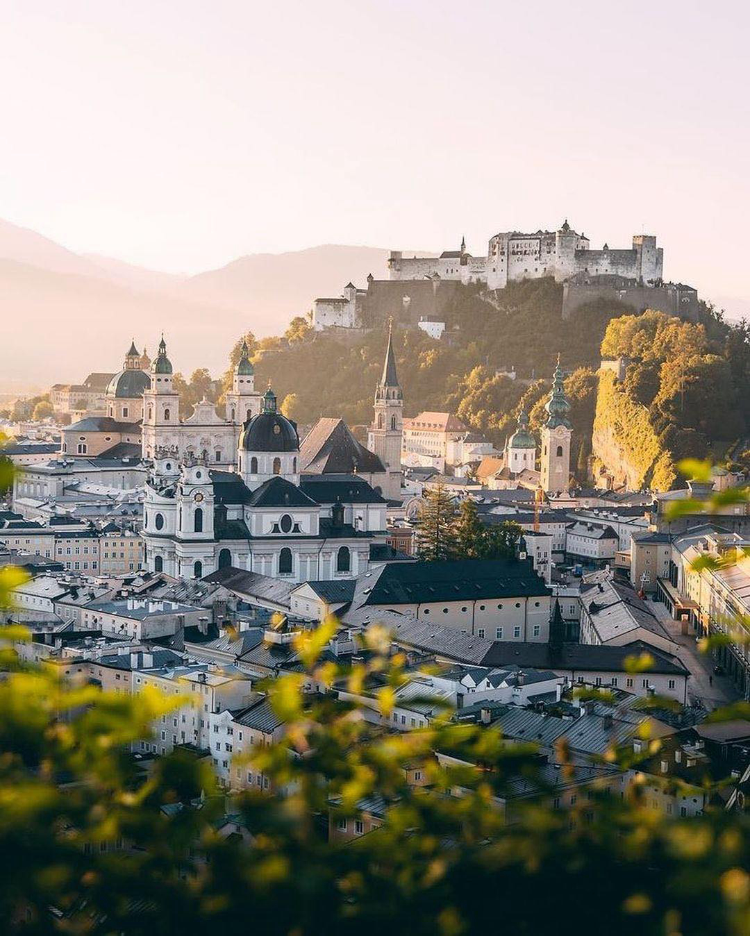 Gallery 2223685 image 1