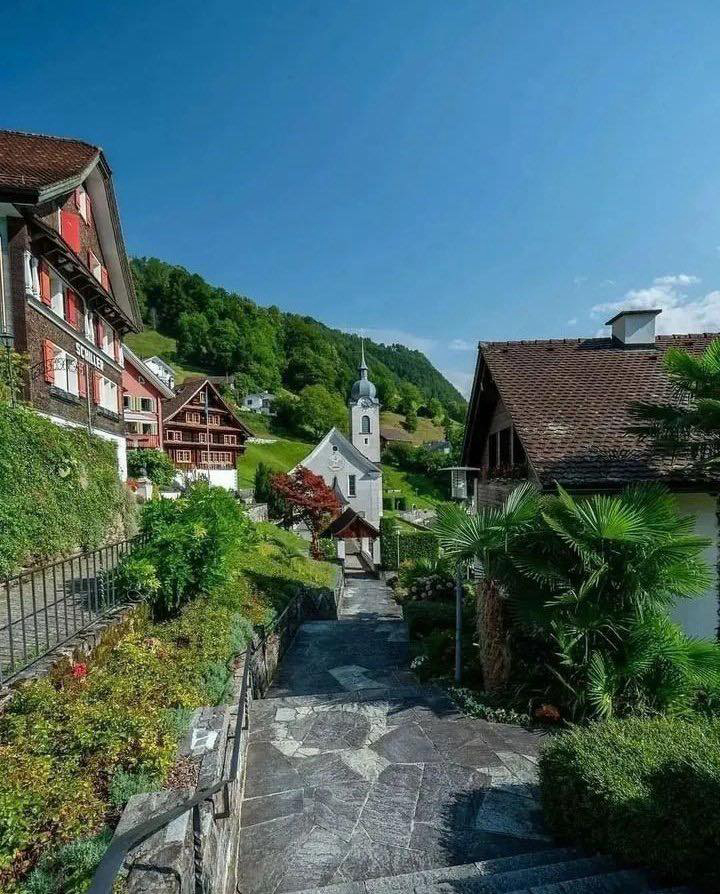 Gallery 2223699 image 1